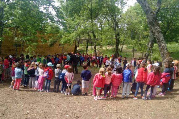 Fin de curso multiaventura en Cercedilla, Madrid
