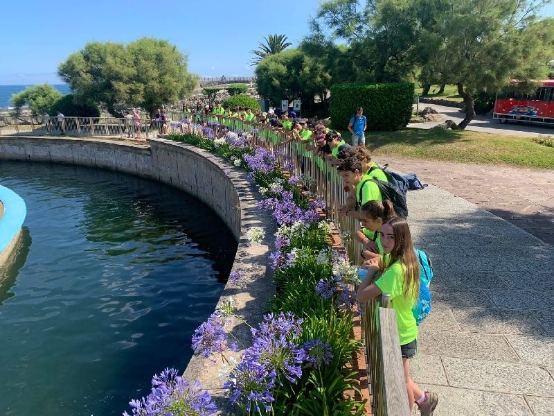 Fin de curso Multiaventura en Cantabria: Excursión