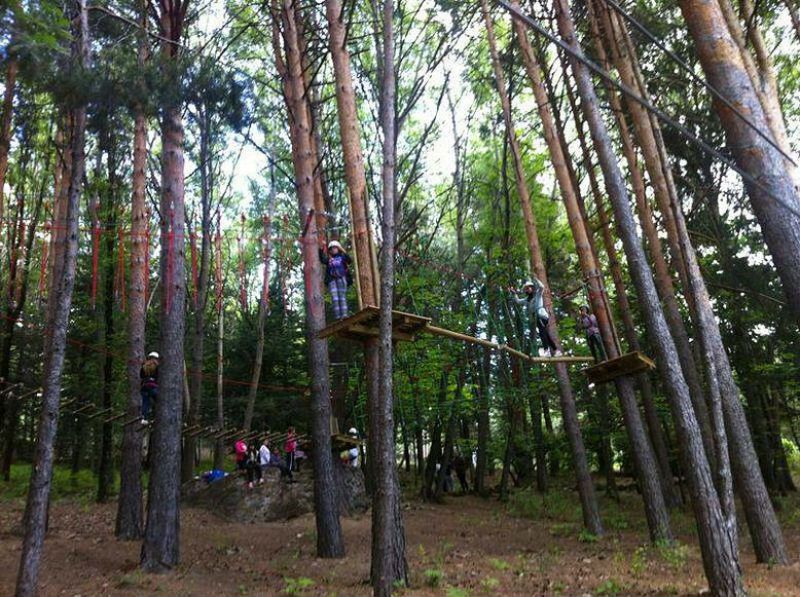 Fin de curso multiaventura en Miraflores de la Sierra, Madrid: Aventura en los árboles