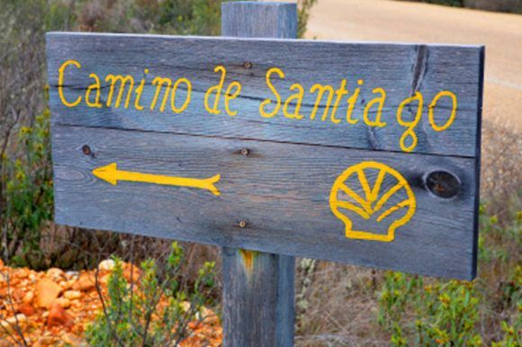 Camino de Santiago Francés para escolares