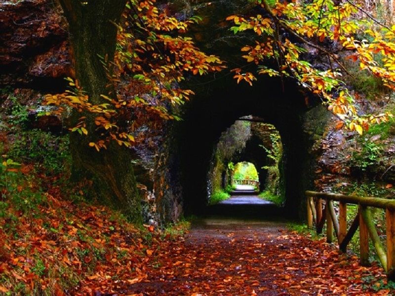 Descubre Asturias en tu viaje fin de curso: Senda de Osos