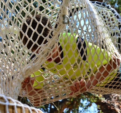 Campamento de verano Mar, Naturaleza y Aventura: Red