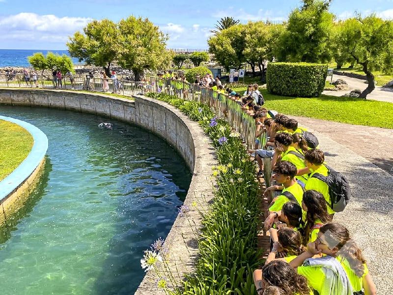 Campamento Multiactividad en Cantabria: Excursión